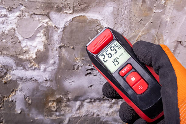 Best Office Mold Removal Services  in Toccoa, GA
